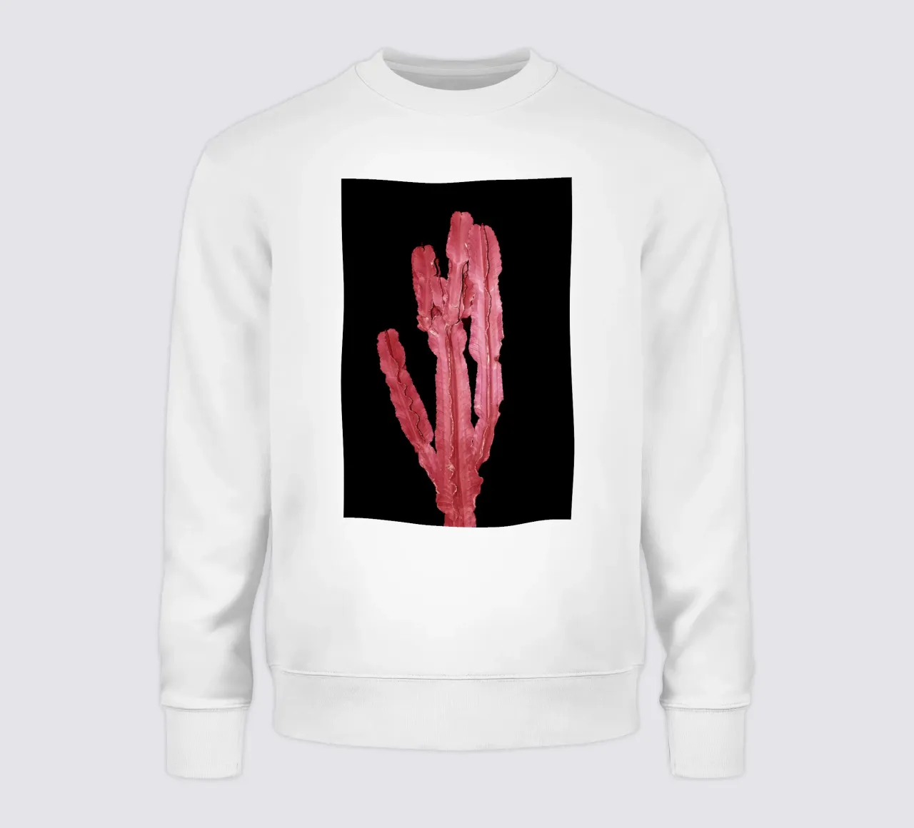 Cactus 4 felpa da rafael campezato