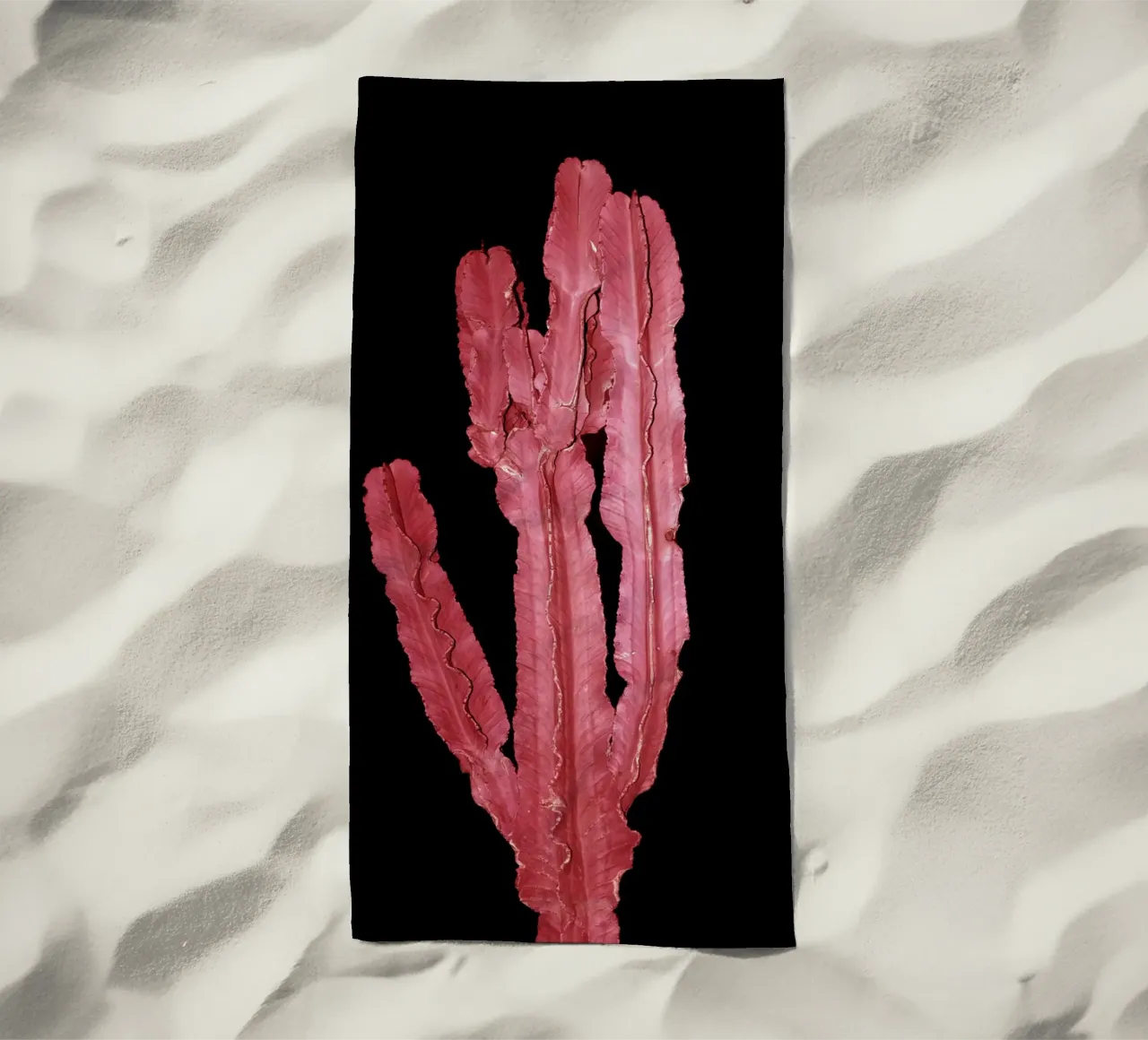 Cactus 4 telo mare da rafael campezato