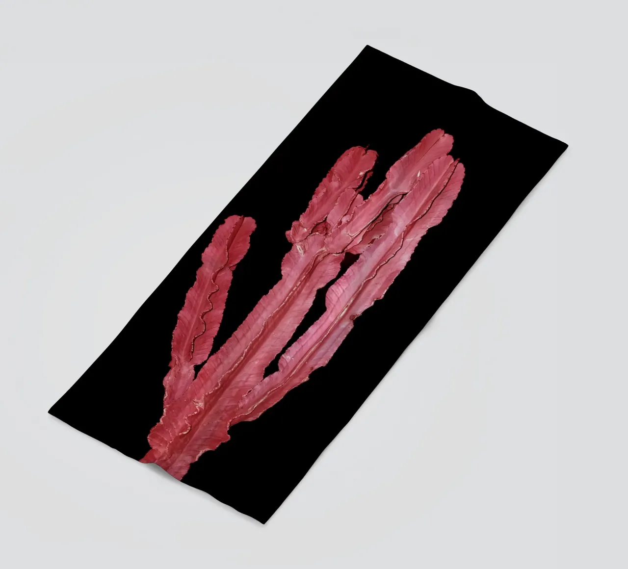 Cactus 4 telo mare da rafael campezato