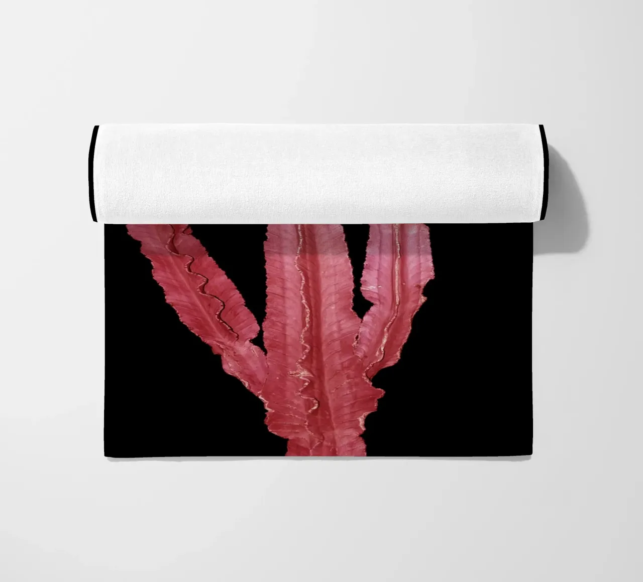 Cactus 4 telo mare da rafael campezato