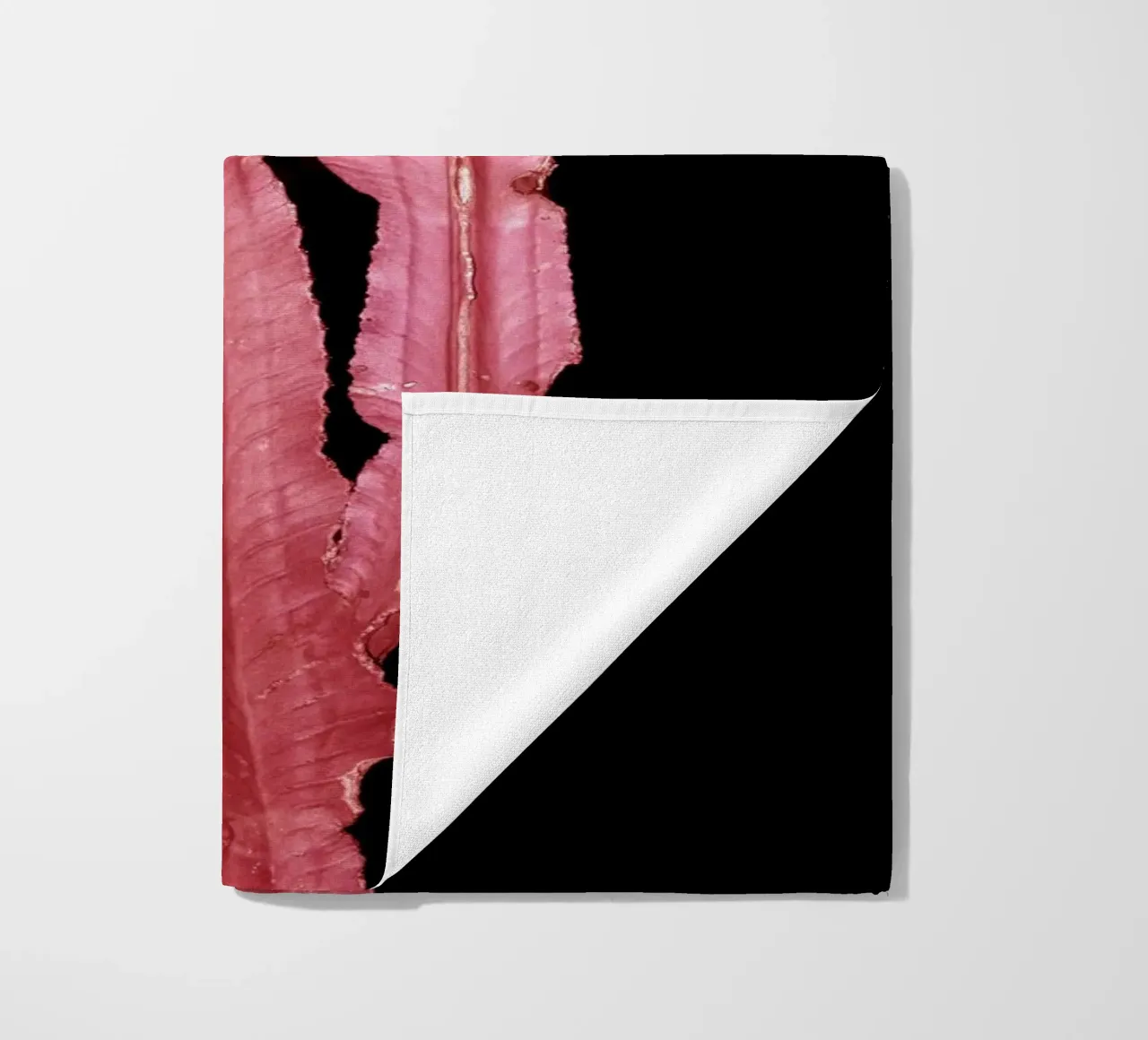 Cactus 4 telo mare da rafael campezato