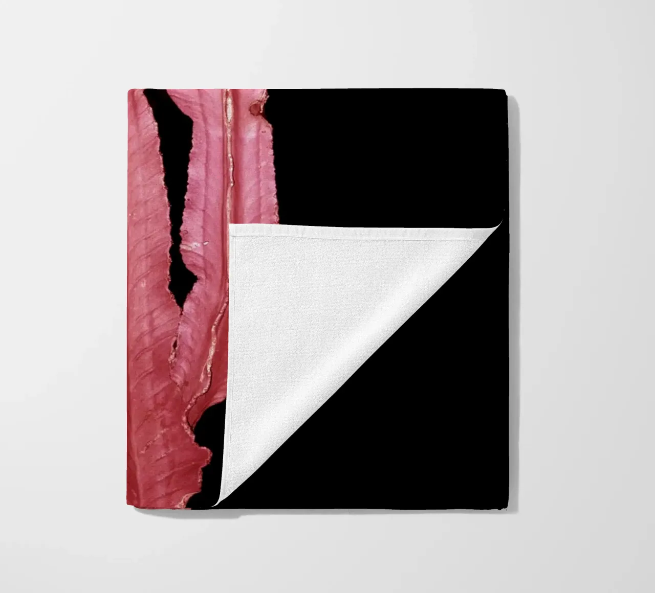 Cactus 4 telo mare da rafael campezato