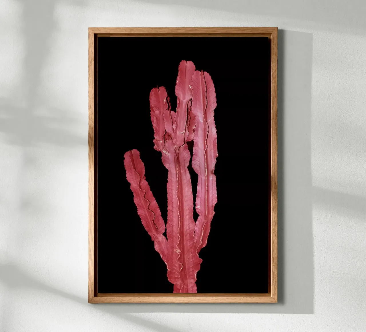 Cactus 4 tela con Cornice a cassetta da rafael campezato