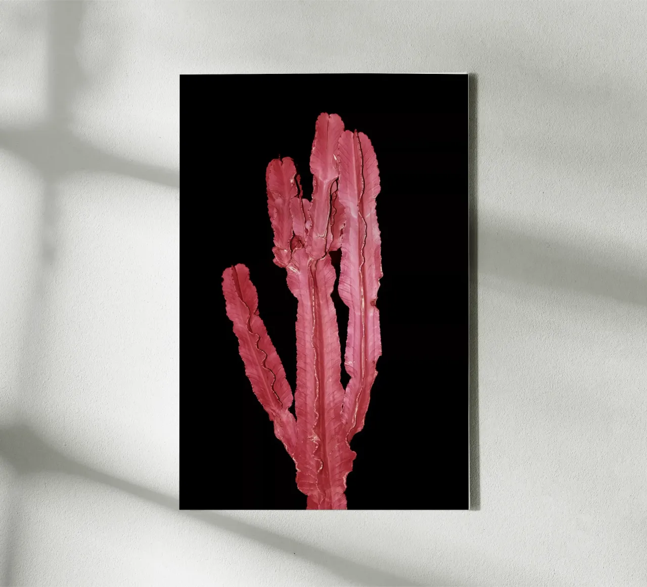 Cactus 4 tela con Cornice a cassetta da rafael campezato