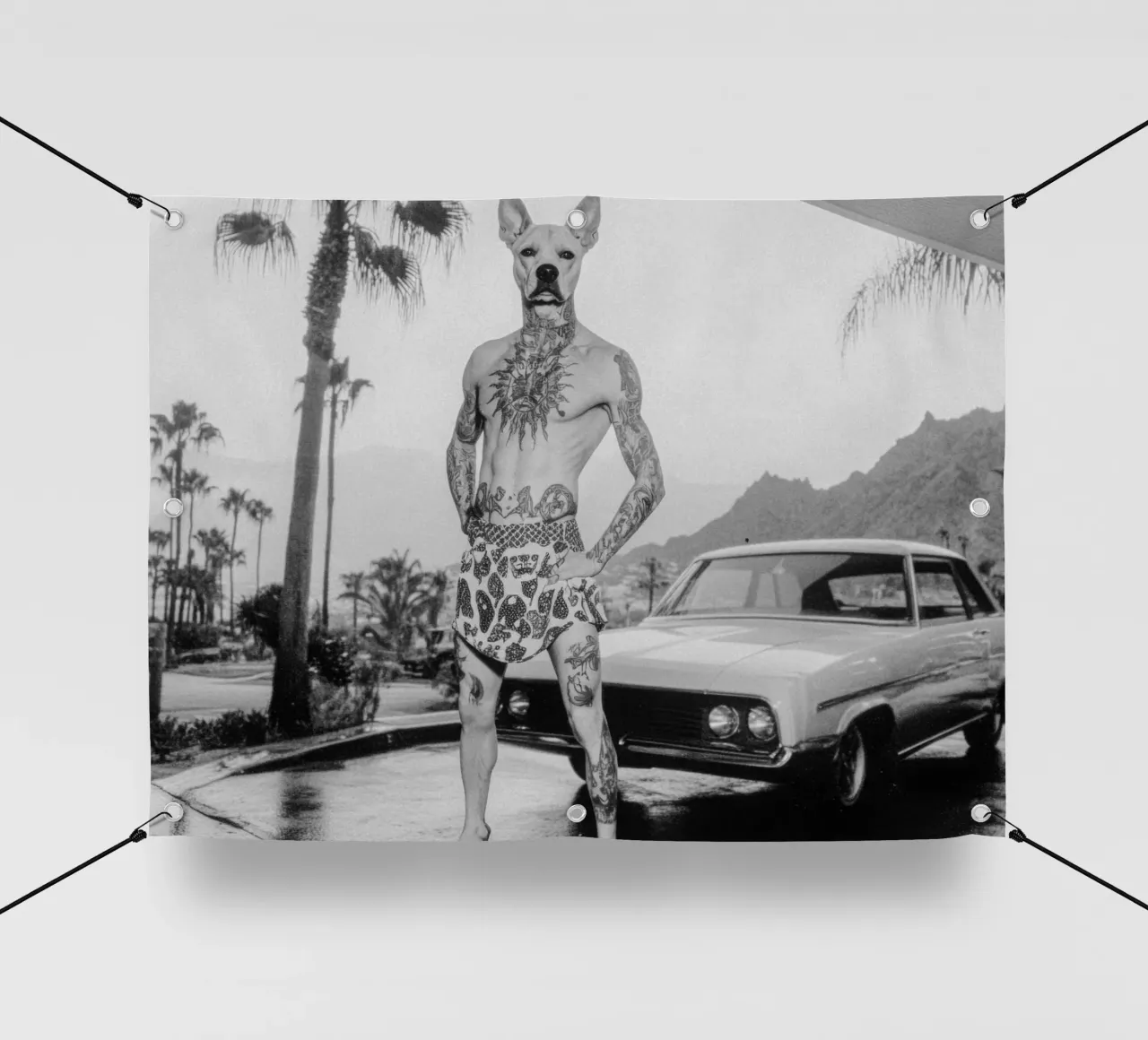 Luan telo in pvc da Affiches Chien Originales – Dogland