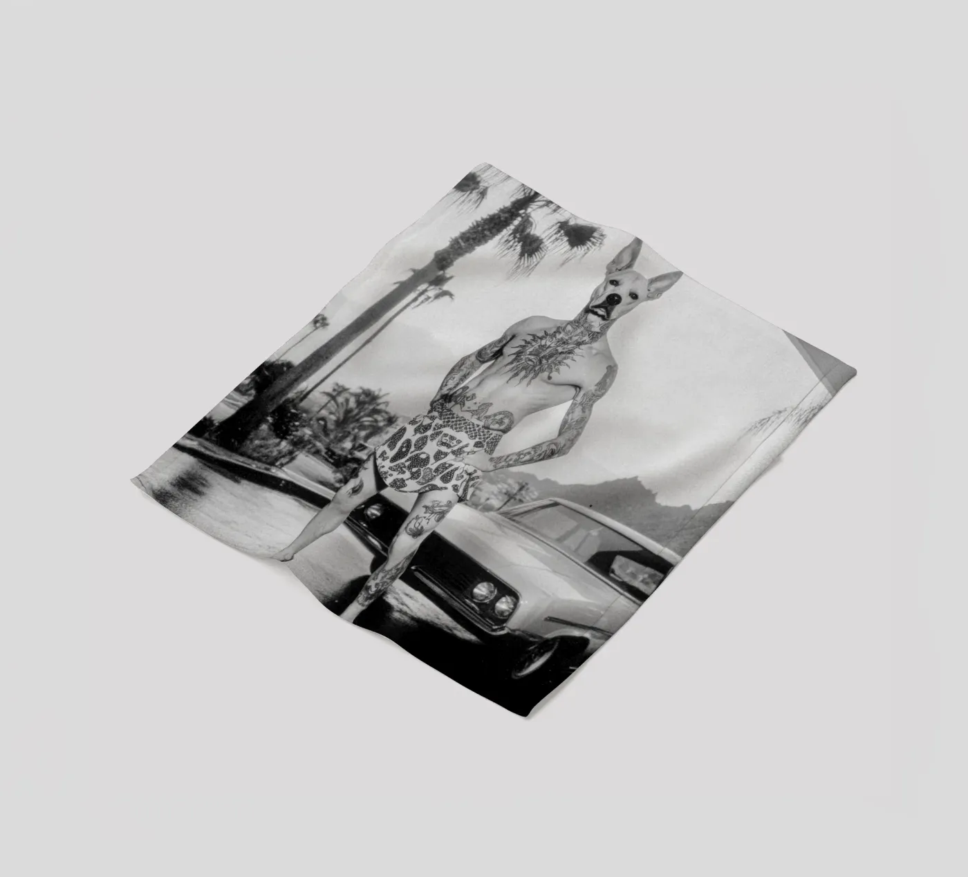 Luan coperta in pile da Affiches Chien Originales – Dogland