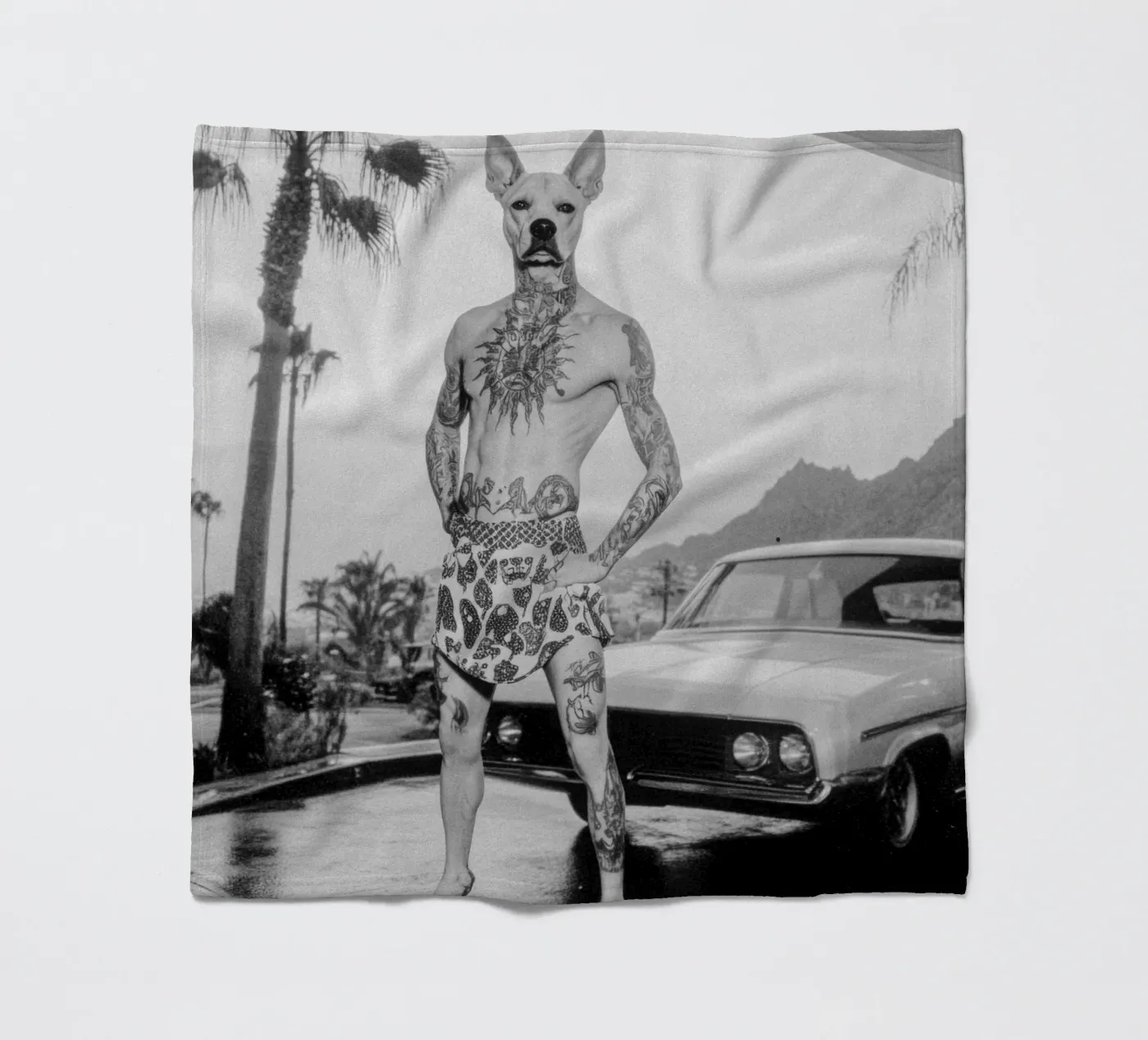 Luan coperta in pile da Affiches Chien Originales – Dogland