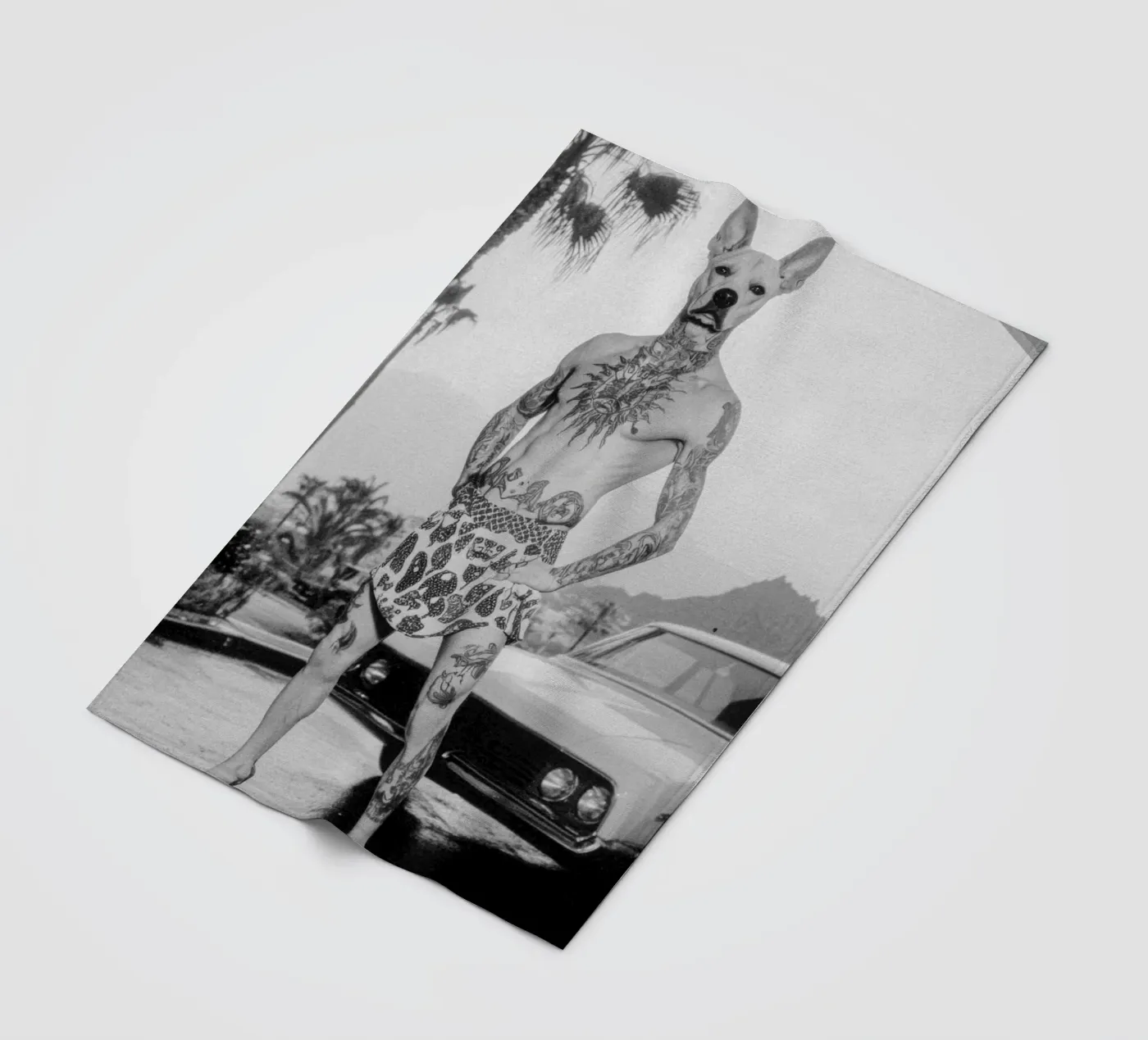 Luan coperta in pile da Affiches Chien Originales – Dogland