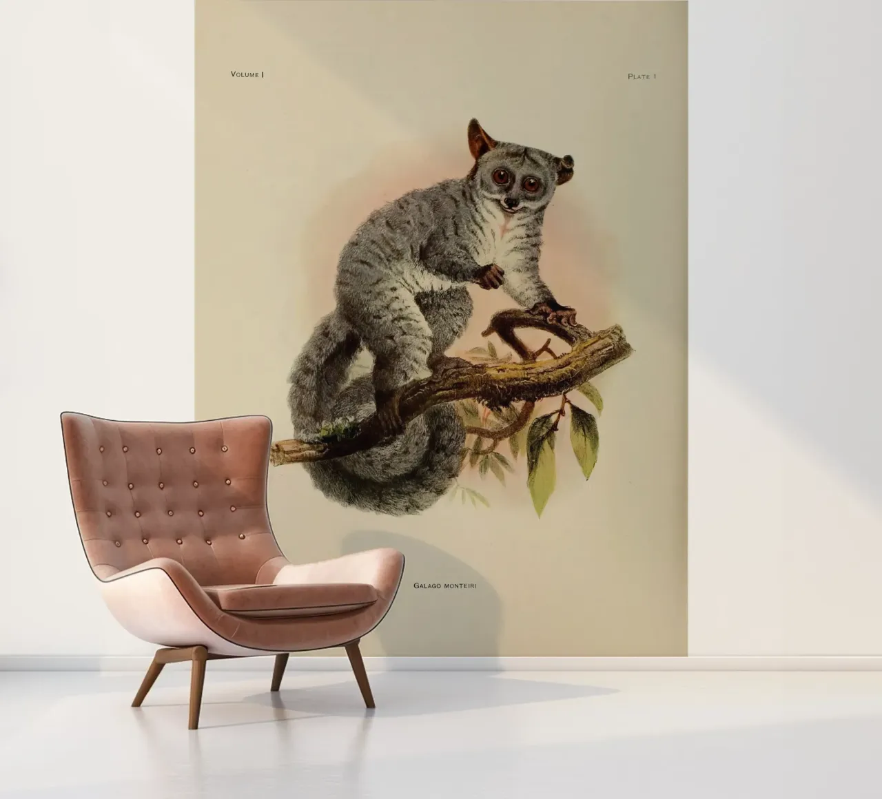 Poco fotobehang van vintagebotanics