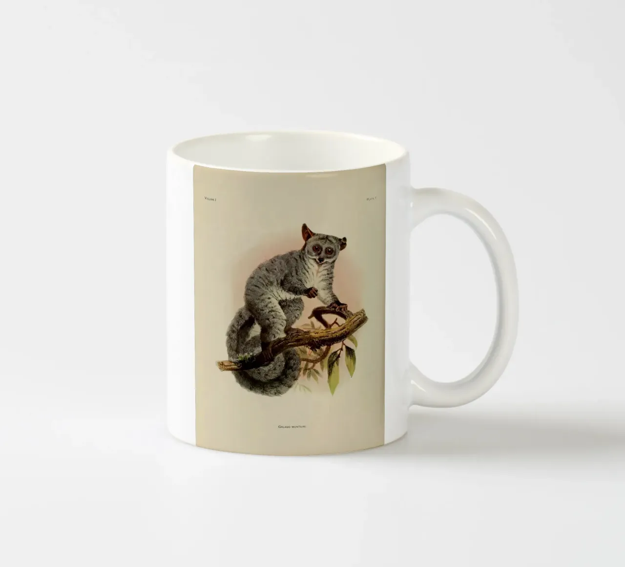 Poco tazza in ceramica da vintagebotanics