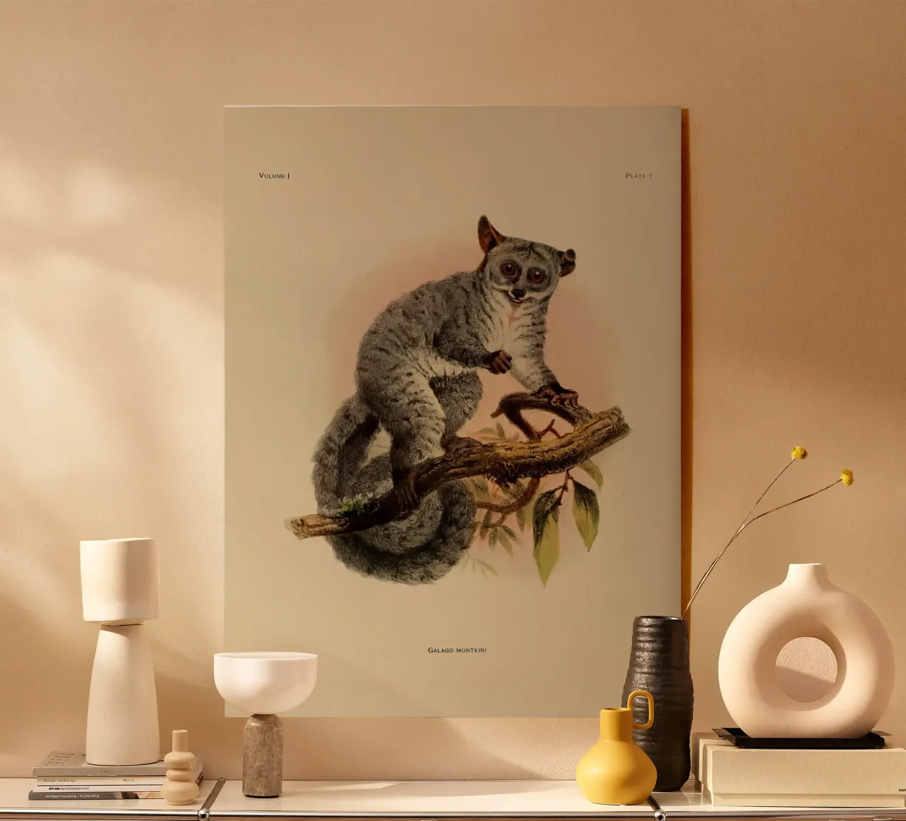 Poco plexiglass da vintagebotanics