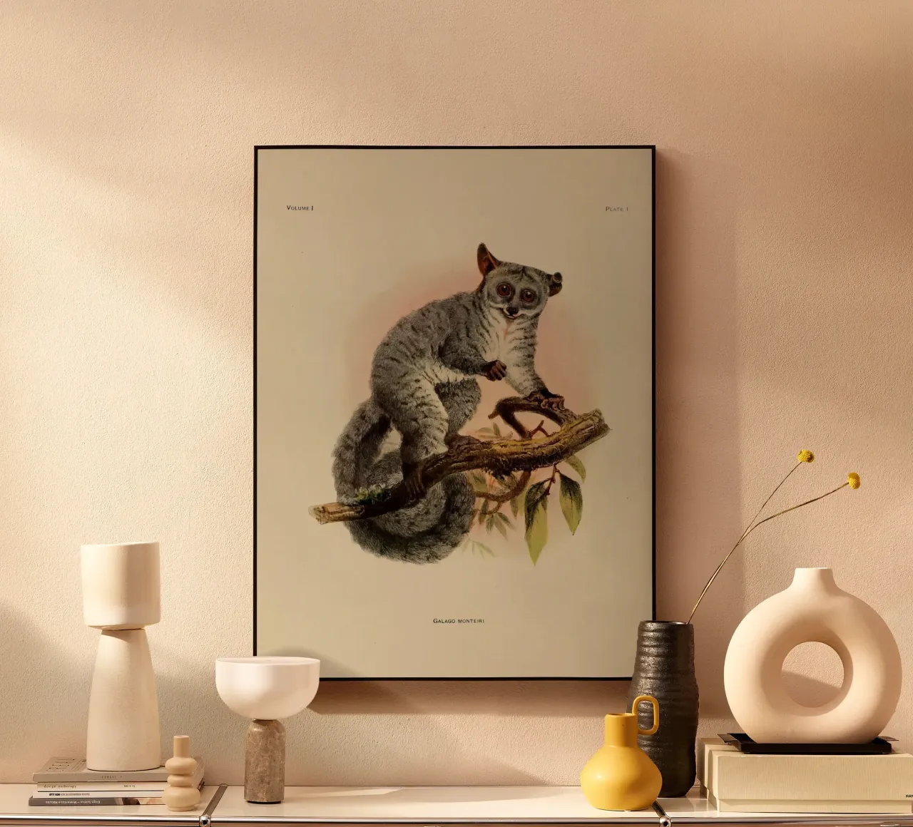 Poco forex plate by vintagebotanics