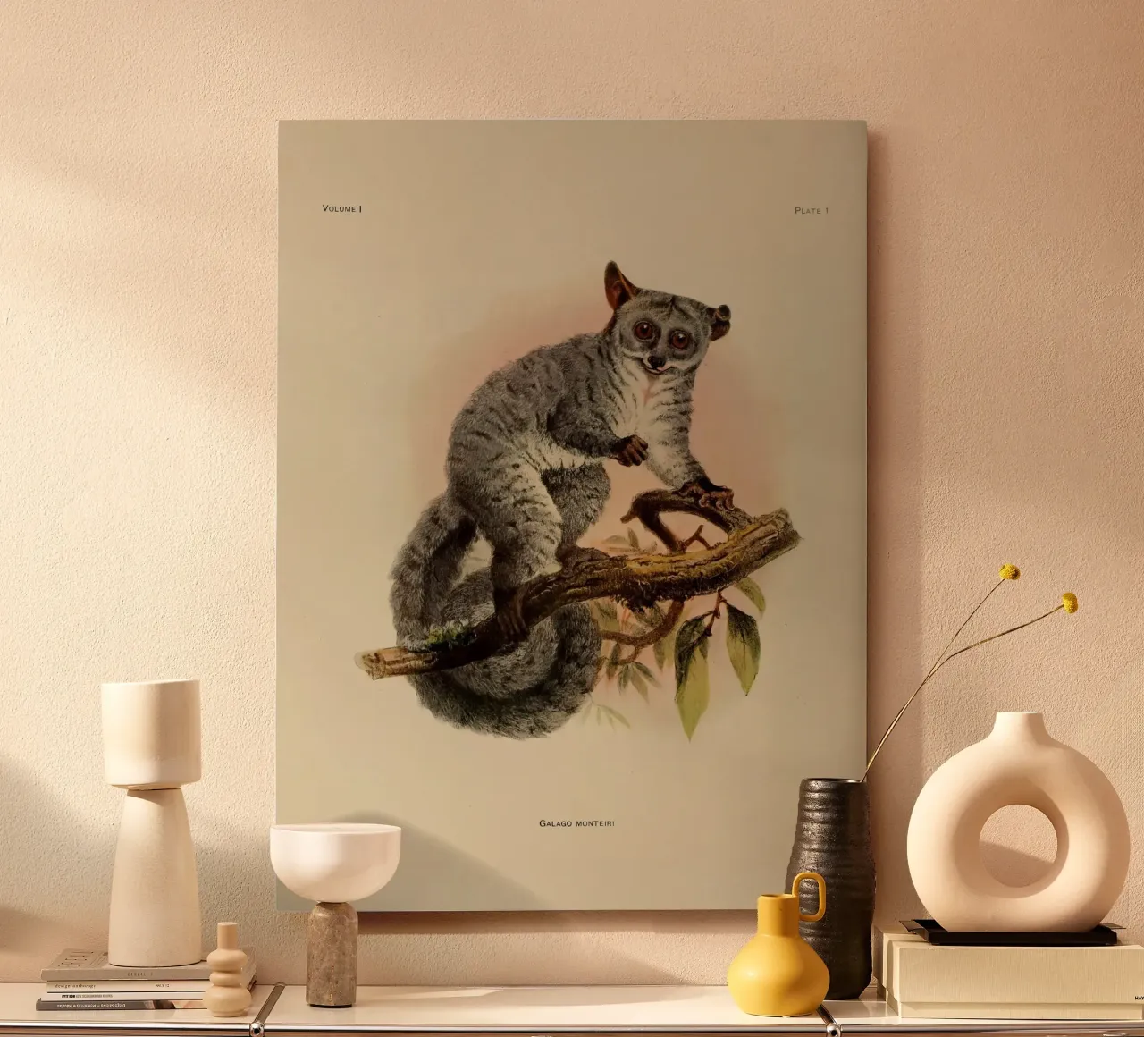 Poco forex plate by vintagebotanics