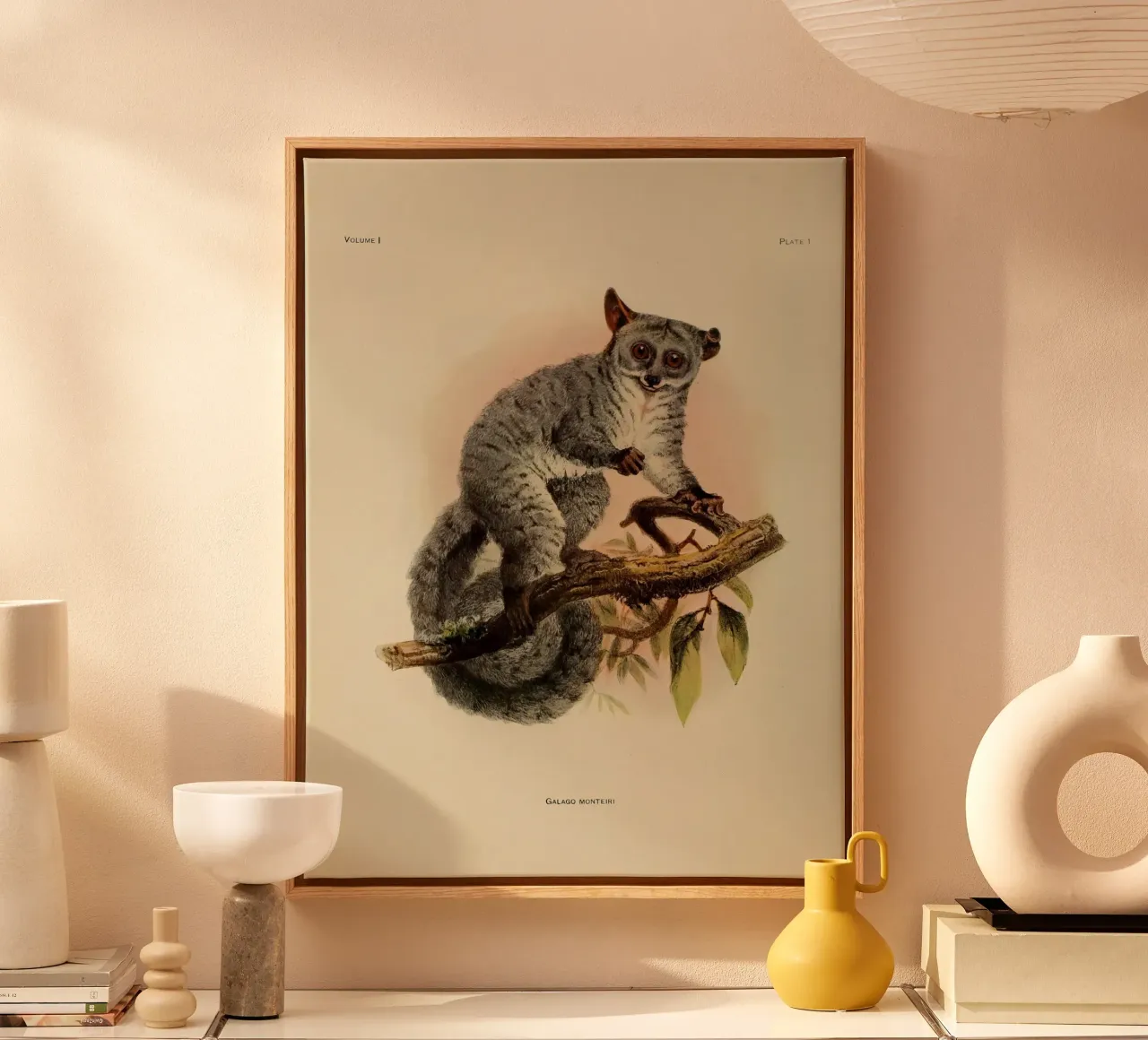 Poco tela da vintagebotanics