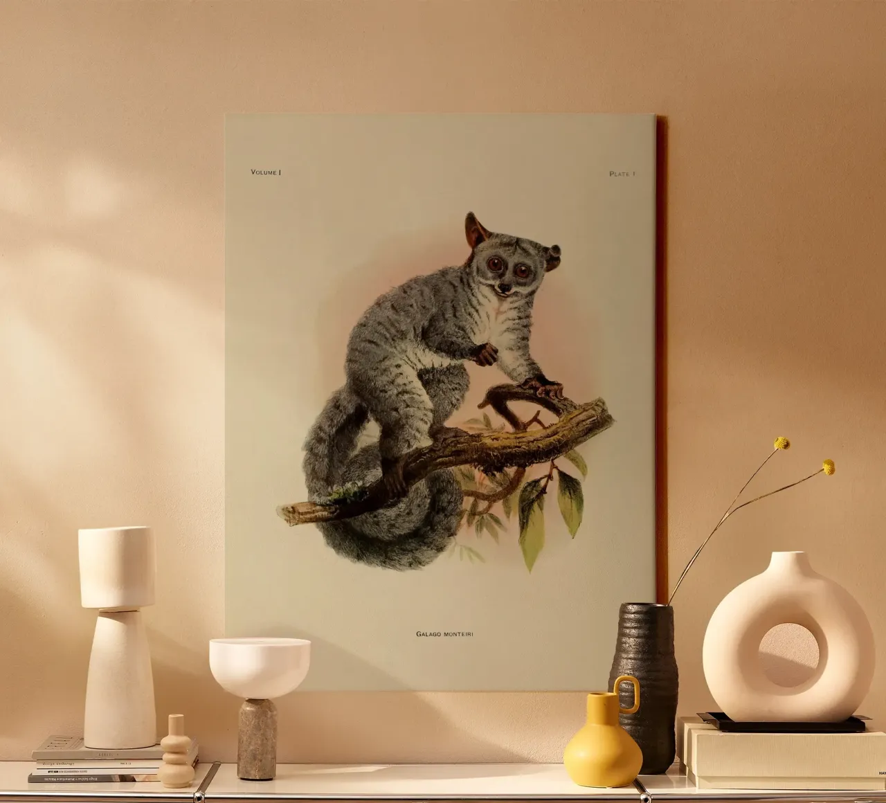 Poco tela da vintagebotanics