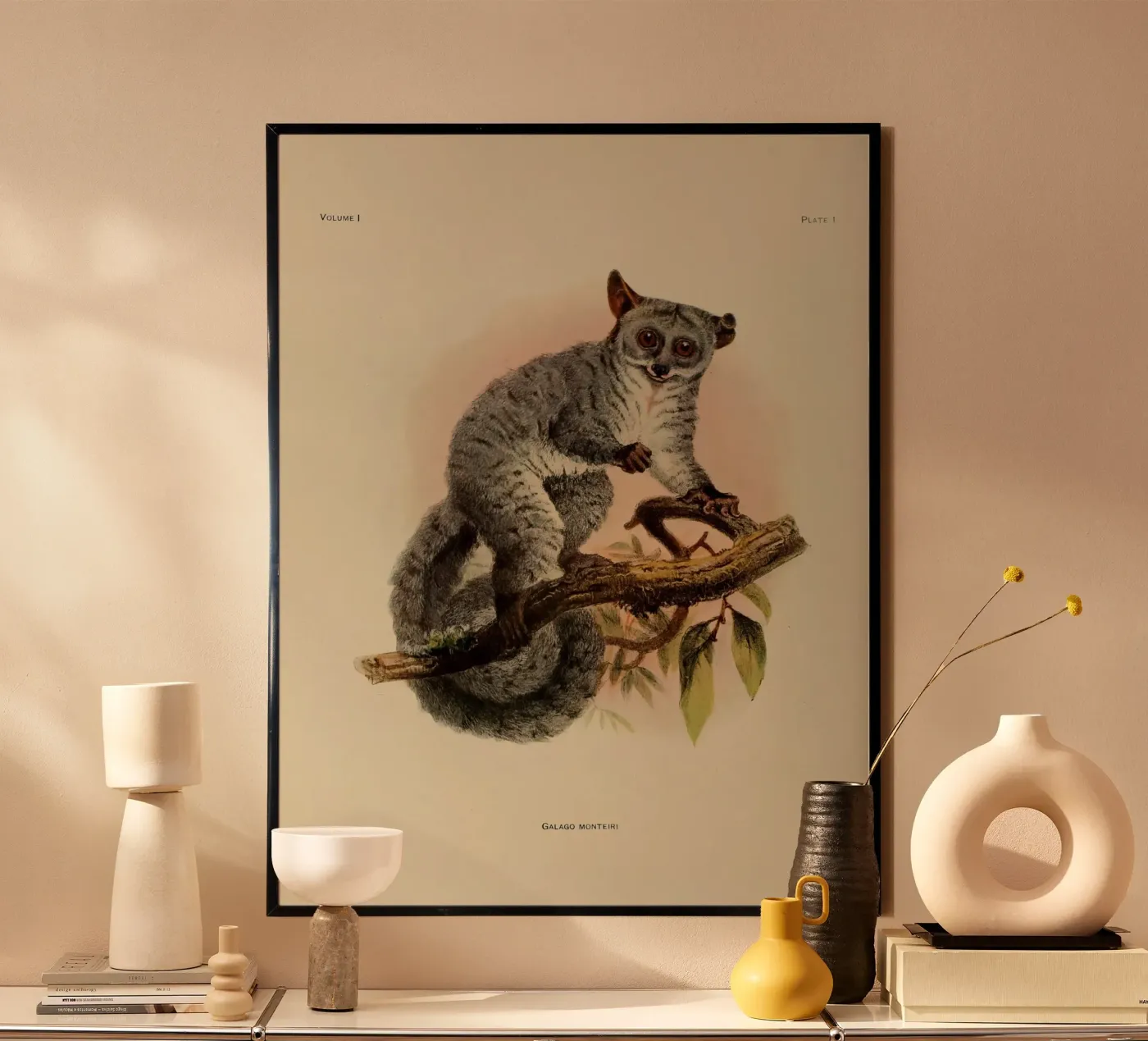 Poco Poster von vintagebotanics