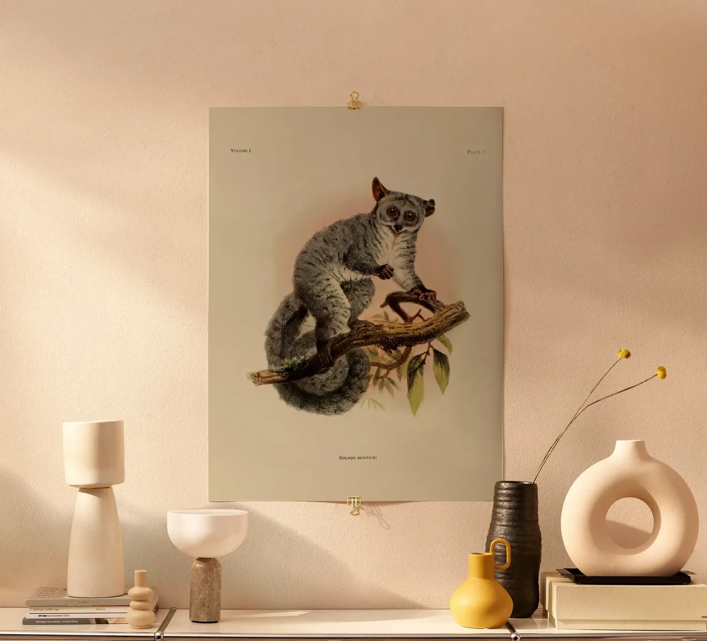 Poco Poster von vintagebotanics