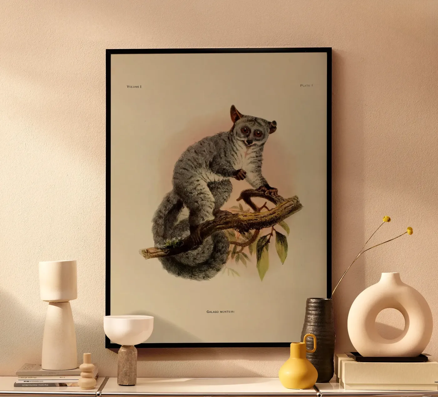Poco Poster von vintagebotanics