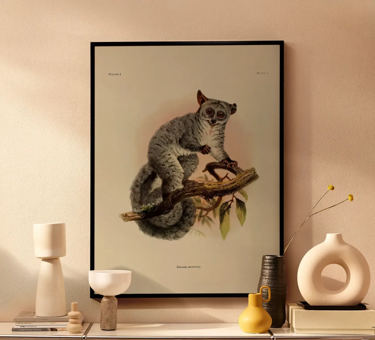 Poco poster da vintagebotanics