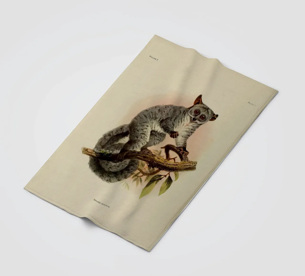 Poco Fleecedecke von vintagebotanics