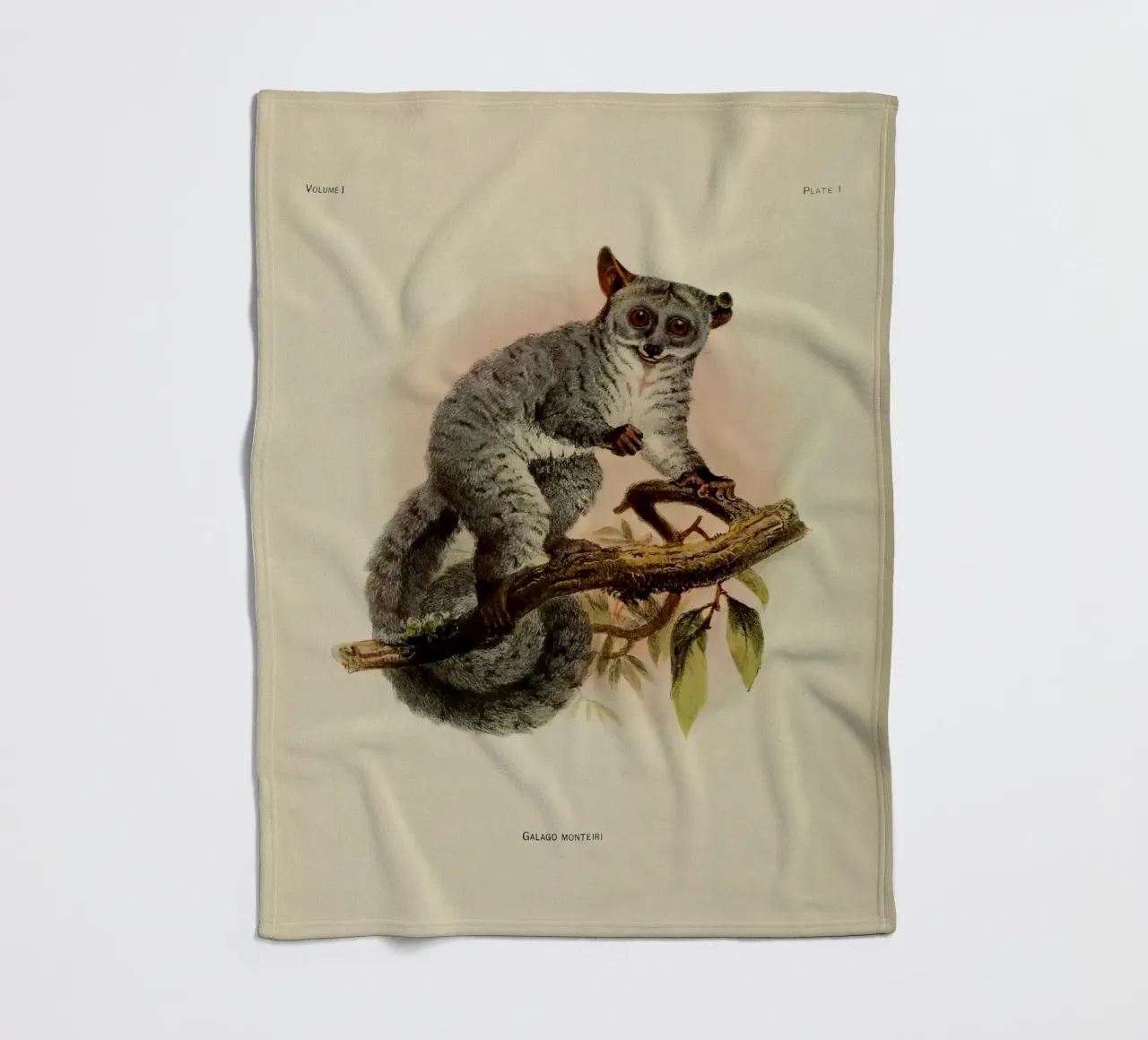 Poco Fleecedecke von vintagebotanics