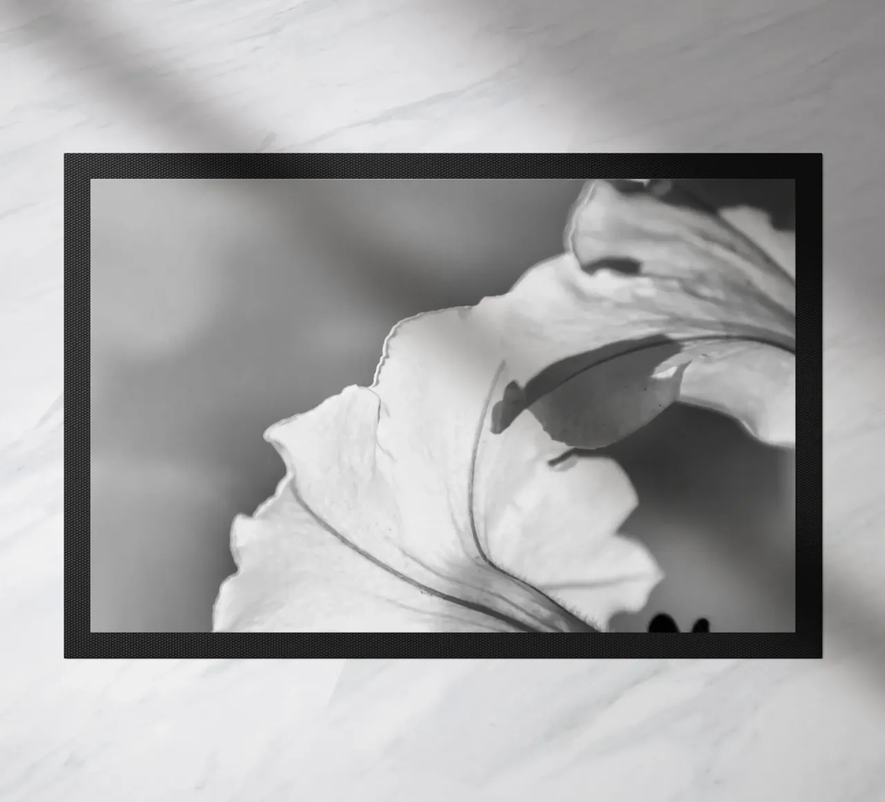 Flora 2 zerbino da rafael campezato