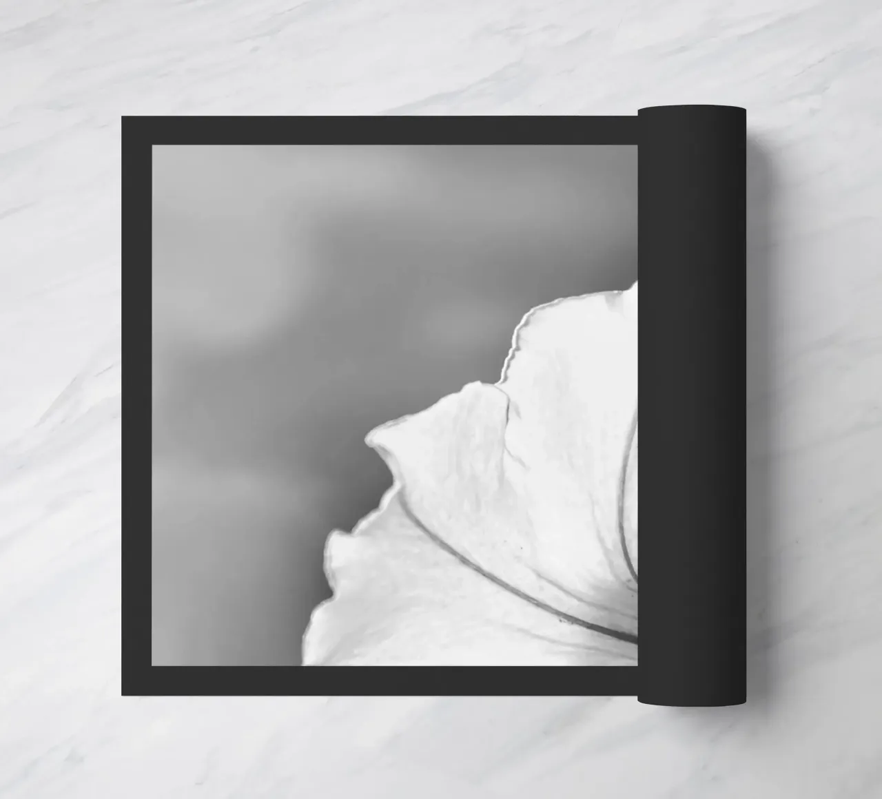 Flora 2 zerbino da rafael campezato