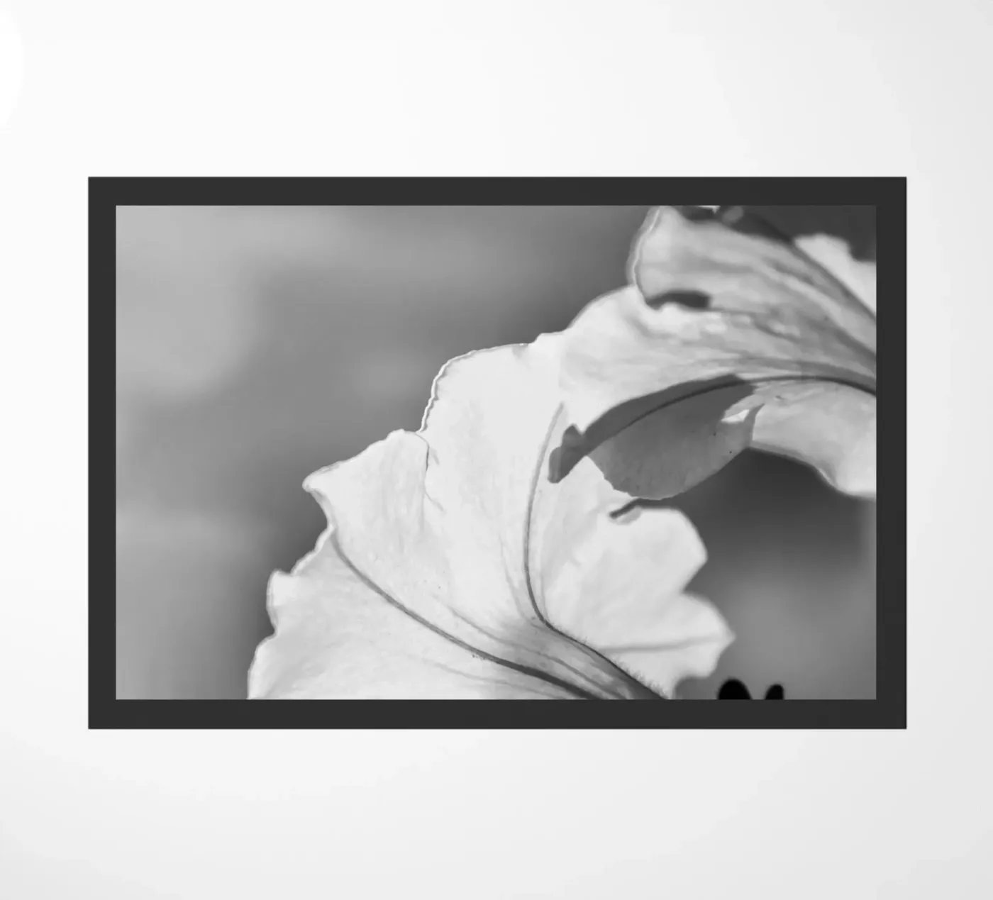 Flora 2 doormat by rafael campezato