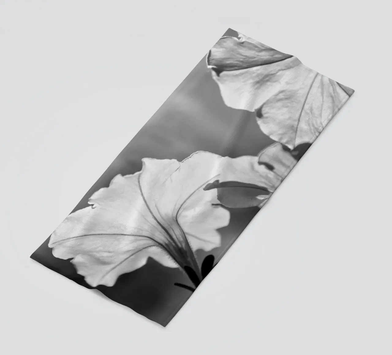 Flora 2 telo mare da rafael campezato