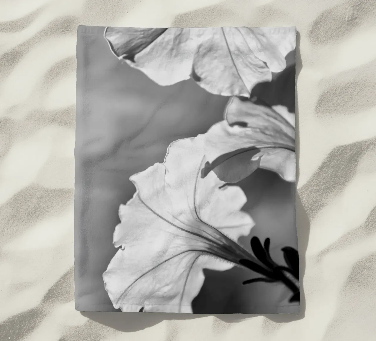 Flora 2 telo mare da rafael campezato