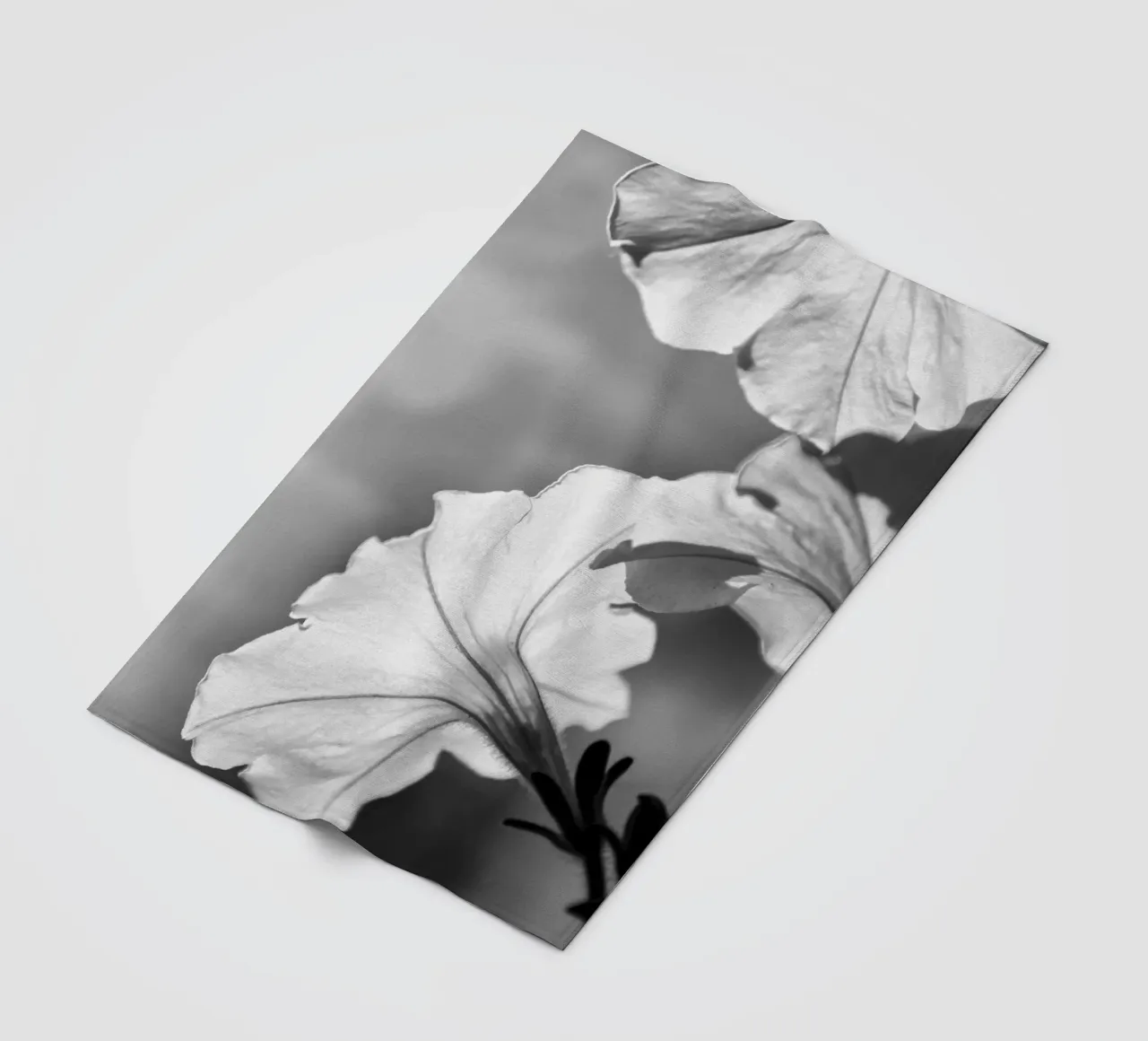 Flora 2 fleecedeken van rafael campezato