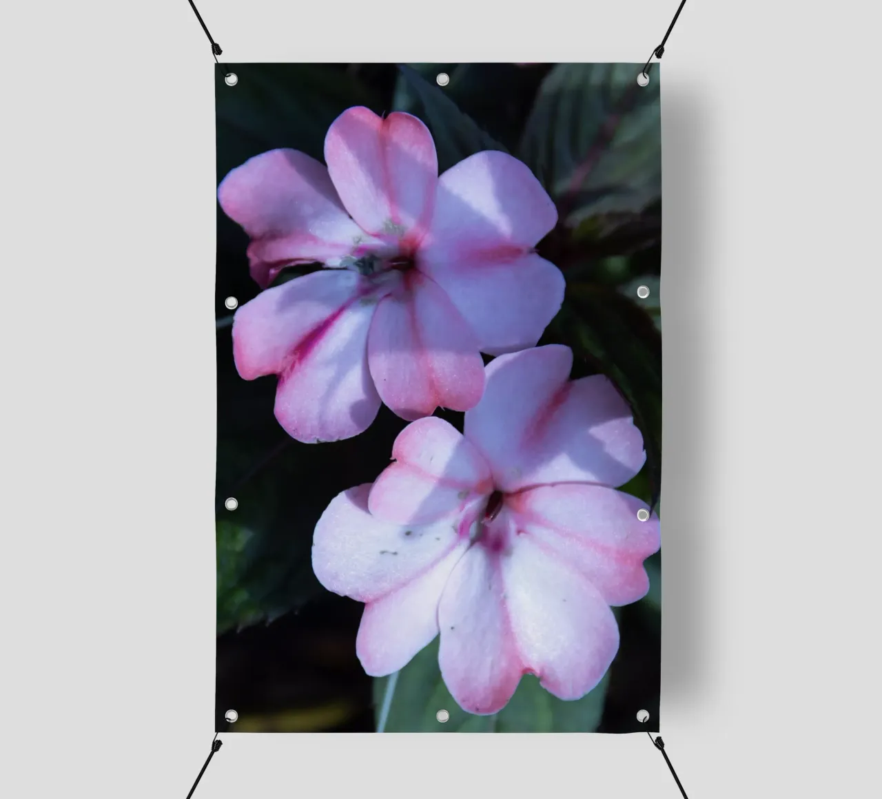 Flora 3 telo in pvc da rafael campezato