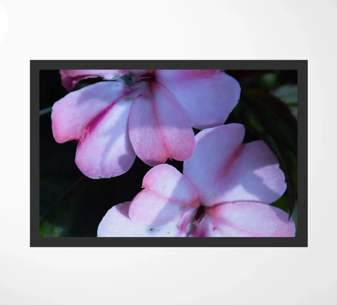 Flora 3 deurmat van rafael campezato
