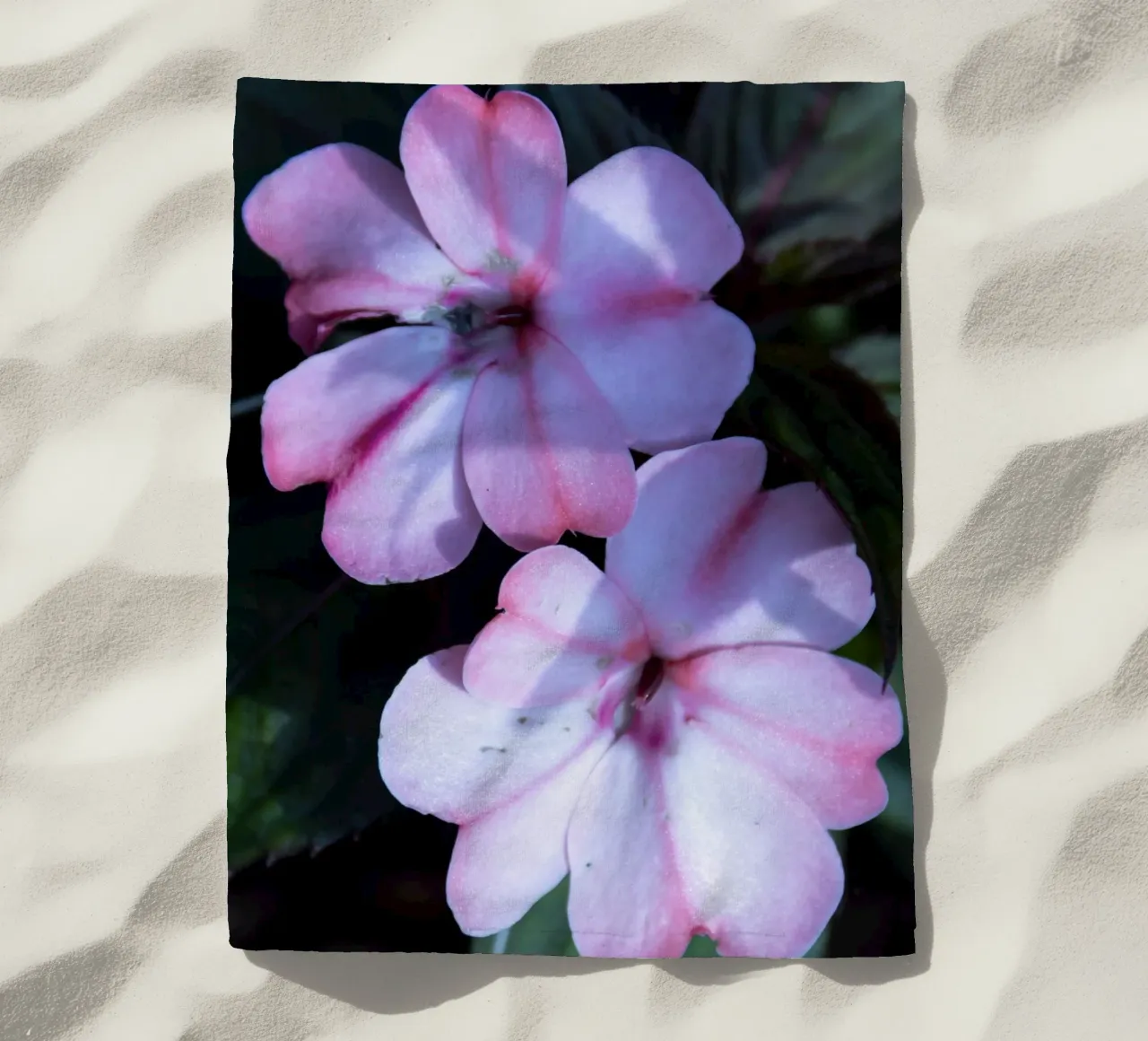 Flora 3 telo mare da rafael campezato