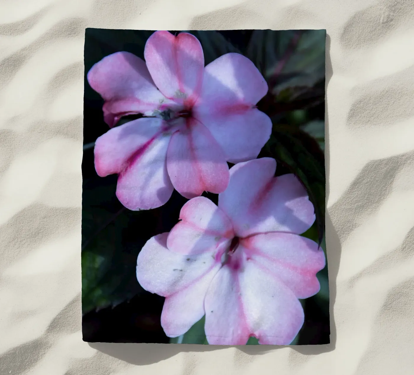 Flora 3 beach towel by rafael campezato