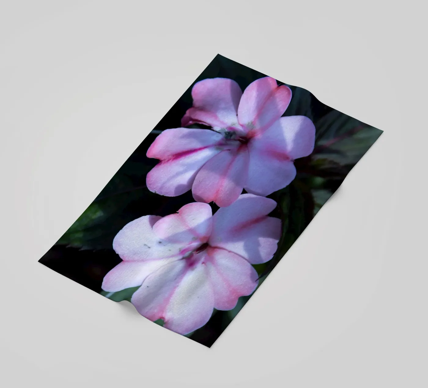 Flora 3 beach towel by rafael campezato