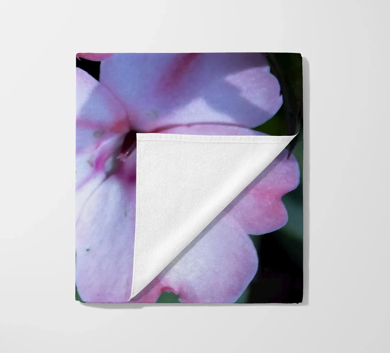 Flora 3 telo mare da rafael campezato