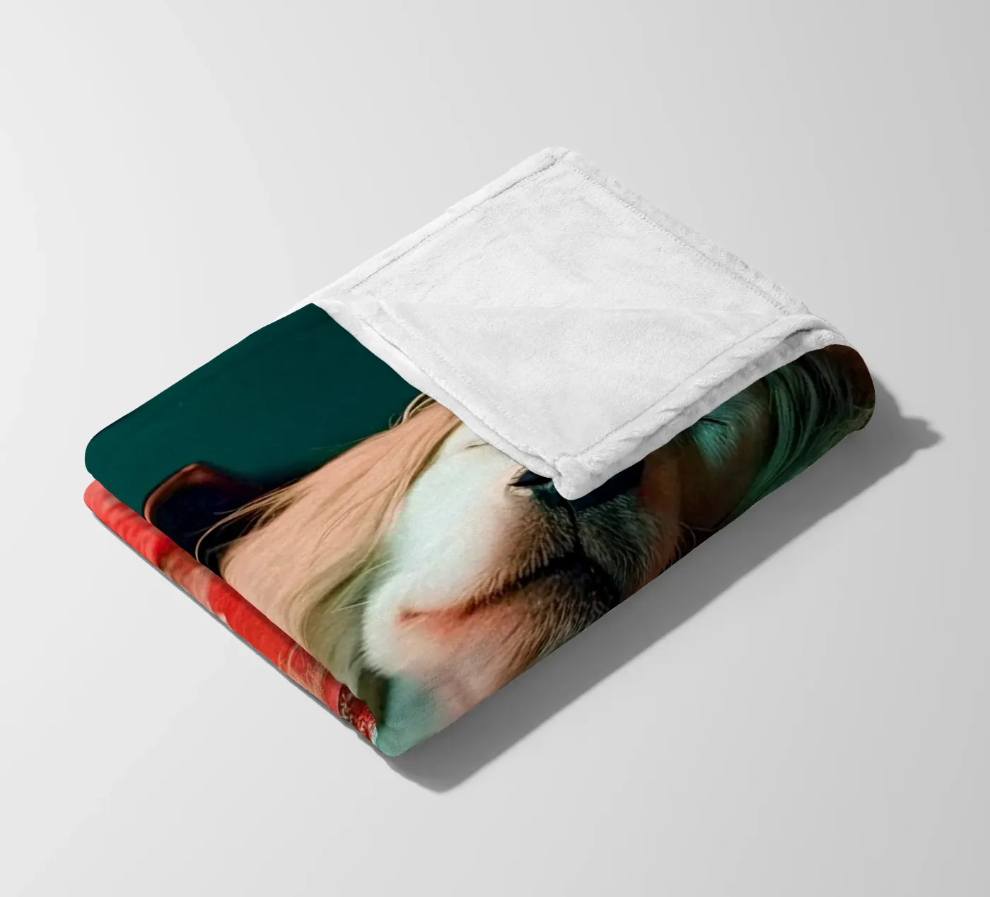 Max Fleecedecke von Affiches Chien Originales – Dogland