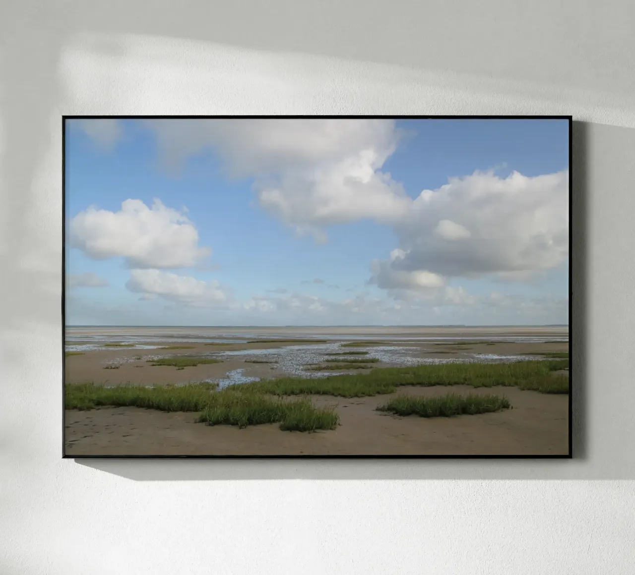 Wattenmeer plexiglass da eyes & tries