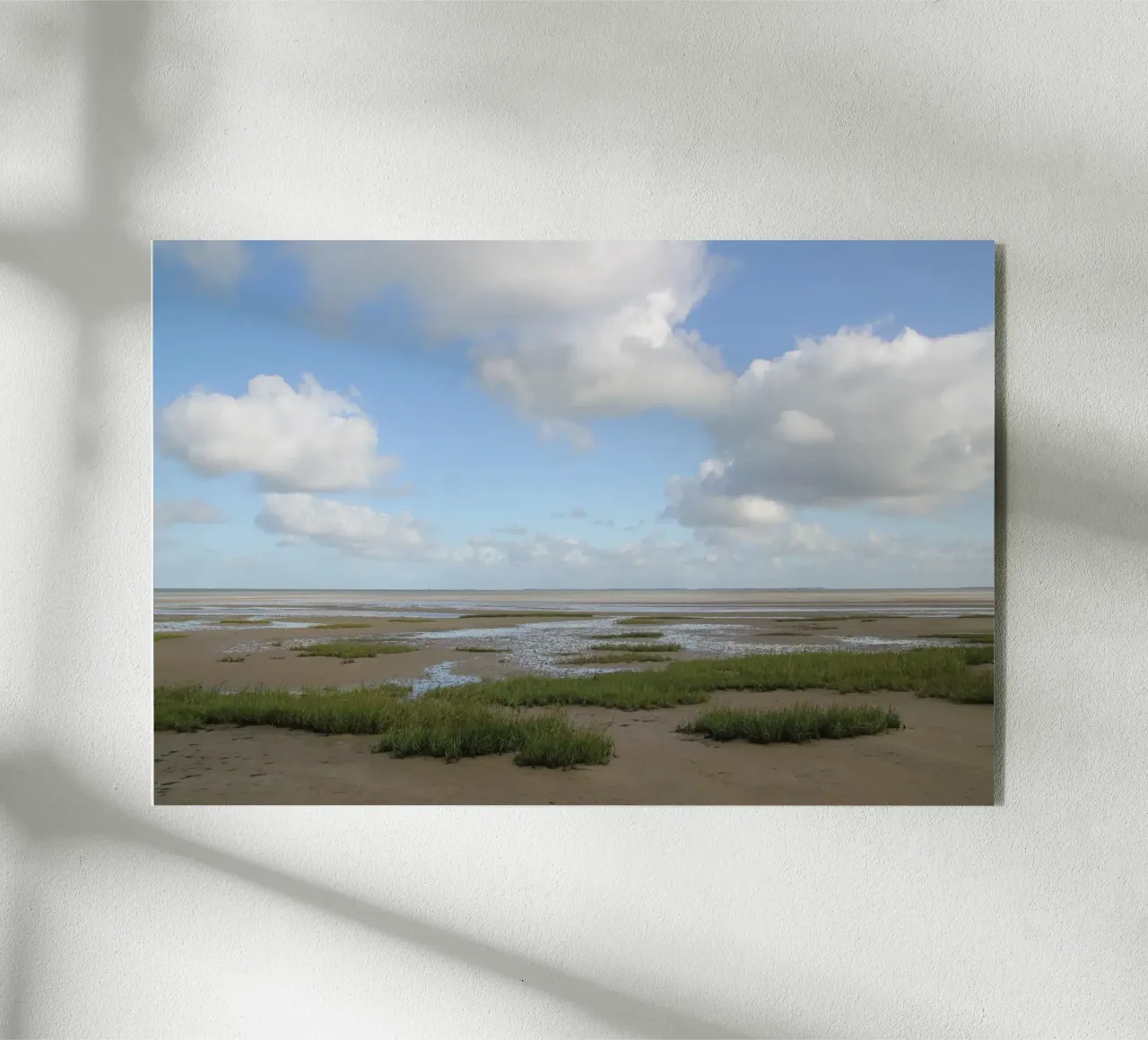 Wattenmeer plexiglass da eyes & tries