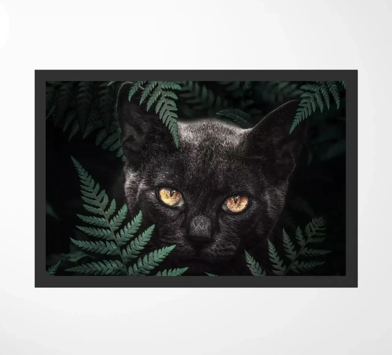 Gatto nero zerbino da arizrab