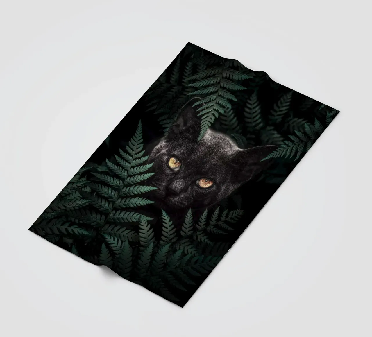 Gatto nero coperta in pile da arizrab