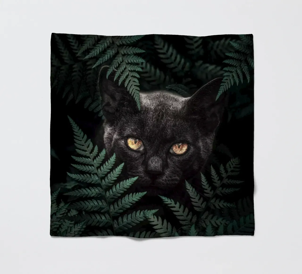 Gatto nero coperta in pile da arizrab