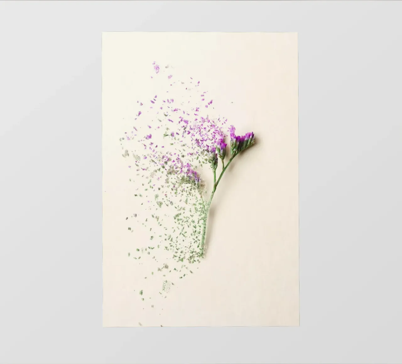 Flora 4 photo wallpaper by rafael campezato