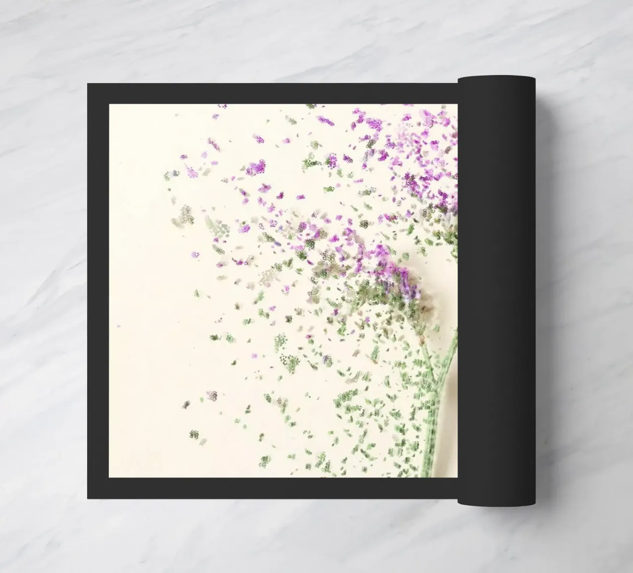 Flora 4 zerbino da rafael campezato