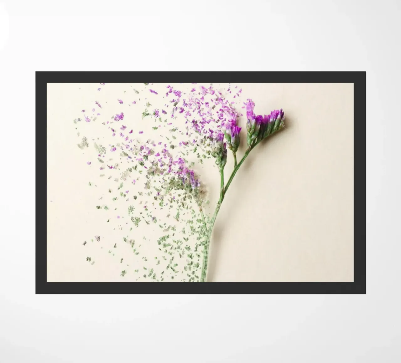 Flora 4 zerbino da rafael campezato