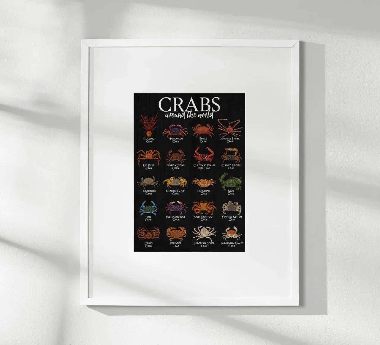 Granchi da tutto il mondo - diversità di specie poster con telaio in plastica da pixelbull - medieval art and more