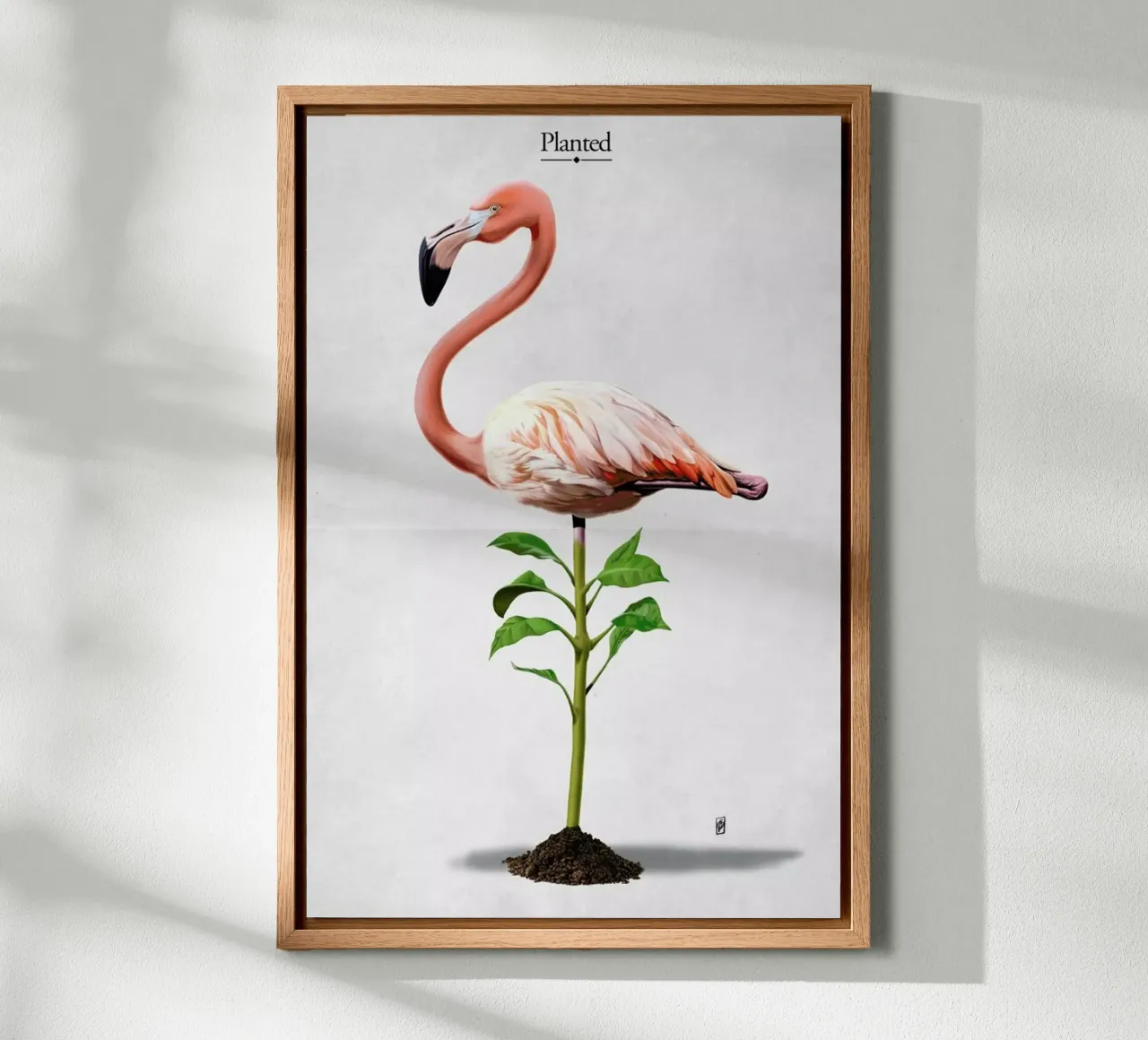 Planted (Titled) tela con Cornice a cassetta da Rob Art | Illustration
