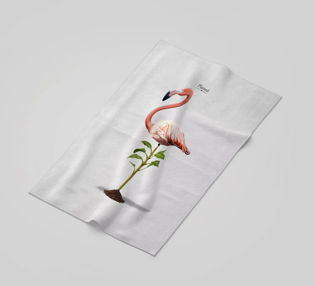 Planted (Titled) telo mare da Rob Art | Illustration