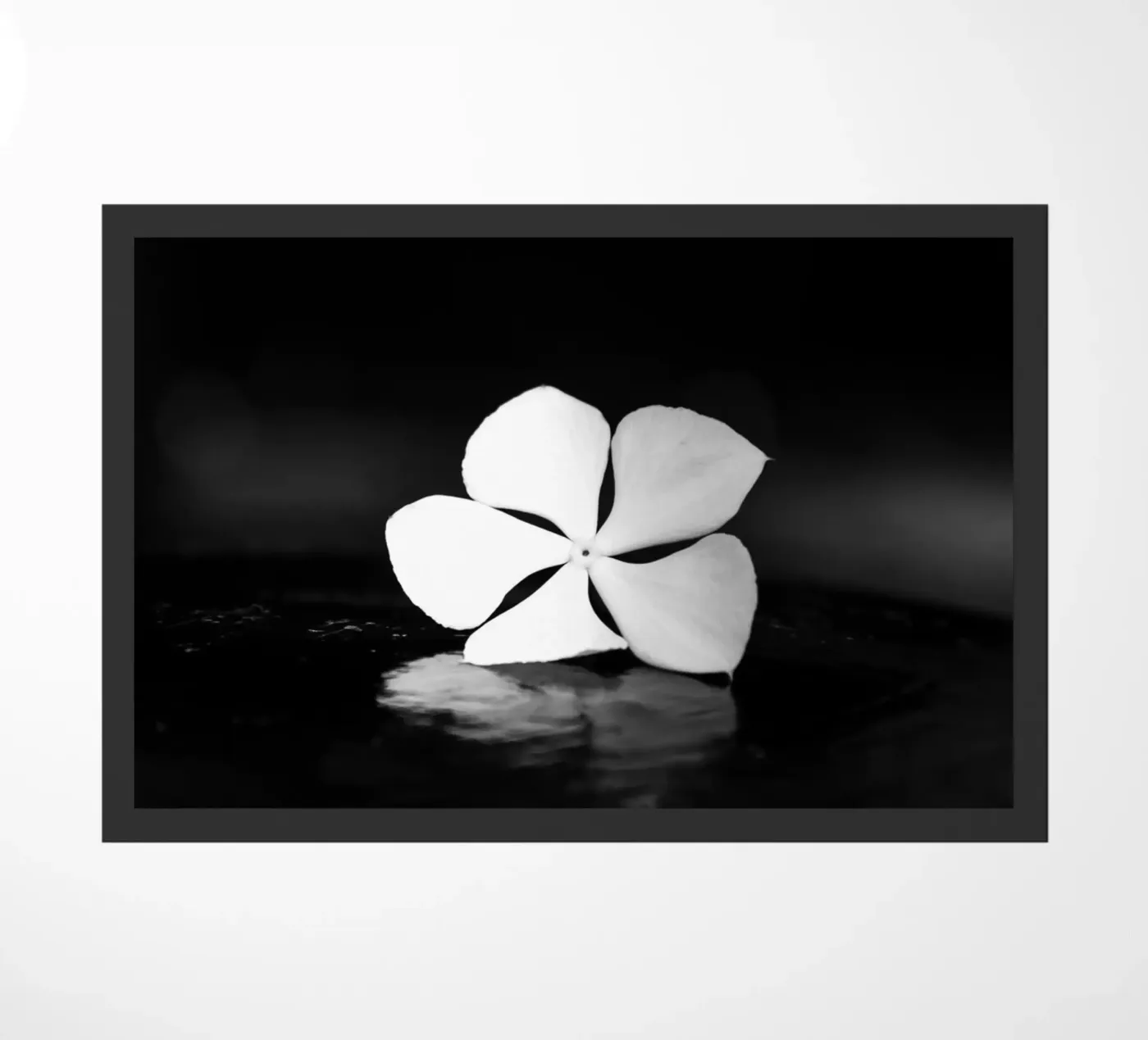 Flora 6 doormat by rafael campezato